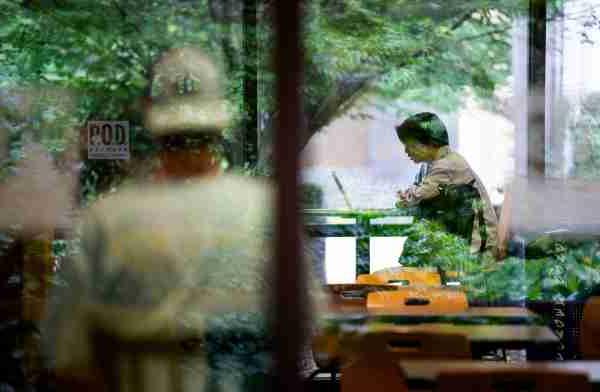 A college student works on their laptop as green trees are reflected in the glass around them.  